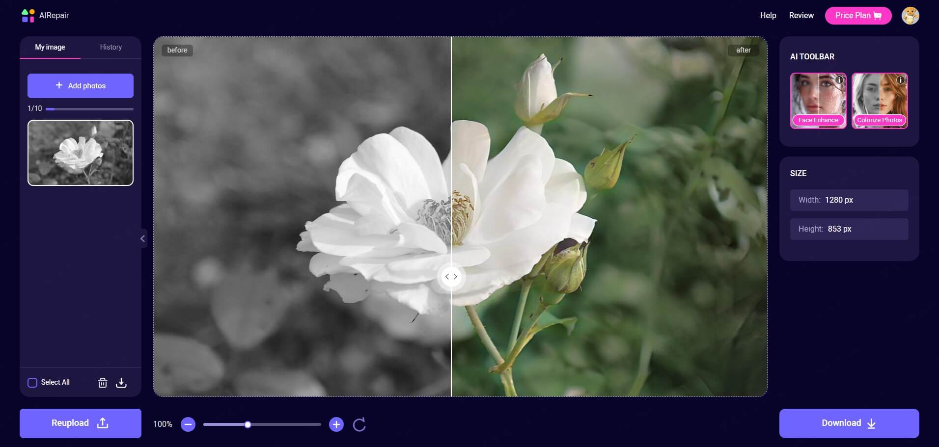 colorize photos