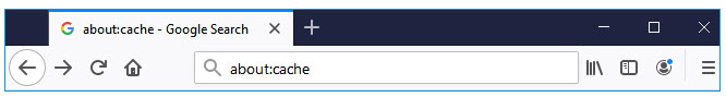 input about cache on firefox cache viewer