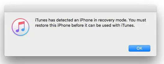 Enter DFU mode on the iPhone to Fix error 4013