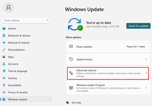 windows 11 advanced options