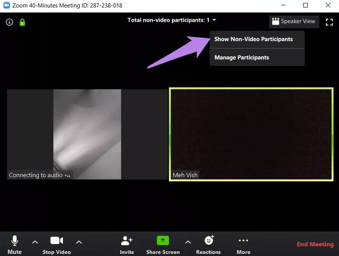zoom show non video